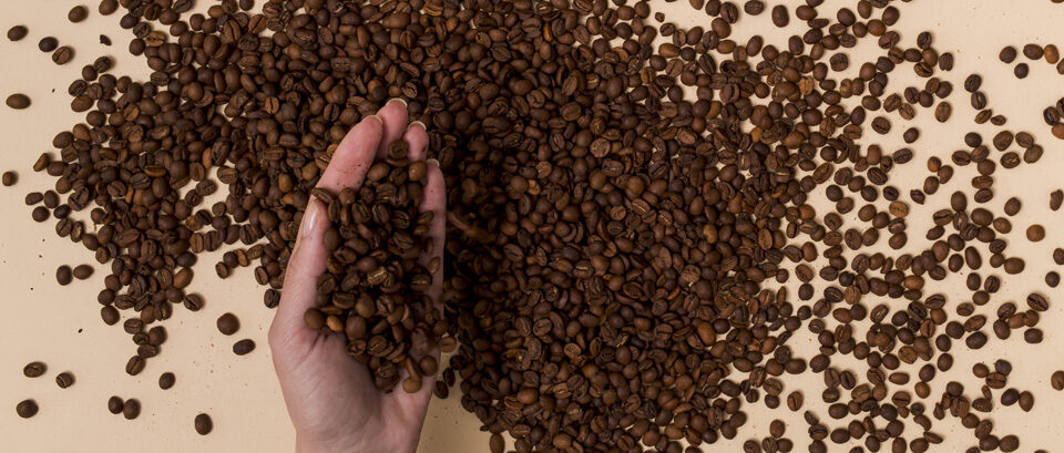 caffe grani